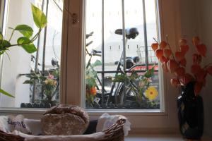 柏林柏林艾米丽酒店的窗户,有篮子和鲜花