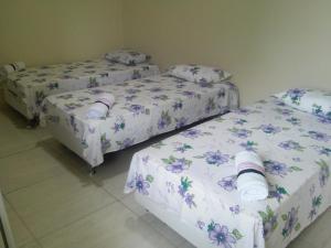 皮拉尼亚斯Pousada Canoa de Tolda的紫色花房内的三张床