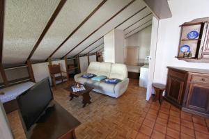 普拉吉拉托Hostdomus - Bi Level Apartment的带沙发和电视的客厅