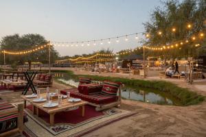 Al Maramoom Oasis Bedouin Tent Experience