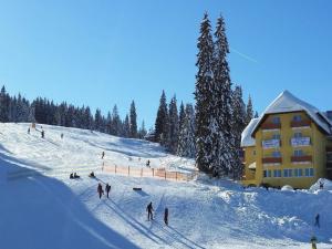 费尔德伯格费尔德山伯格酒店的一群人沿着雪覆盖的斜坡滑雪