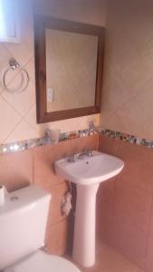 波特雷里约斯Complejo de Cabañas Tierra de Luna的一间带水槽、卫生间和镜子的浴室
