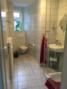 迈宁根Anton-Ulrich Apartment的一间带卫生间和水槽的浴室