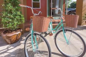 南府本雅酒店 的一辆蓝色自行车停在两棵盆栽植物旁边