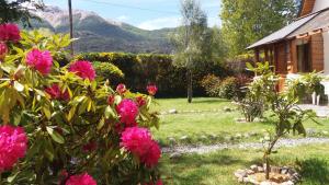 拉安戈斯图拉镇Cabañas Maite的一座花园,在房子前方种有粉红色的花朵