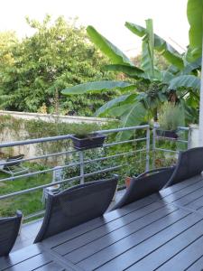 波尔多拉梅森城堡庄园住宿加早餐酒店的木制甲板上摆放着椅子和植物