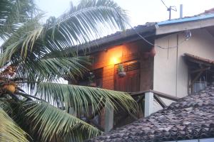 韦利格默薇特克塔乡村民宿的前面有棕榈树的房子