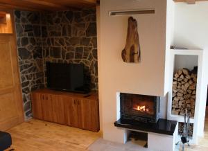 霍茨科波霍尔耶Apartment Appohorje的客厅设有壁炉和电视。