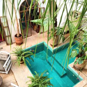 马拉喀什里亚德帕拉西奥代拉斯爱斯匹西亚斯庭院旅馆的游泳池周围种有植物