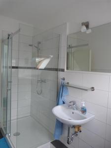 卡斯特罗普-劳克塞尔Apartment 1G的一间带水槽和玻璃淋浴的浴室