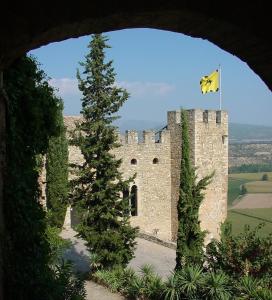 MontsonisCasa Anina的前面有棵树的城堡