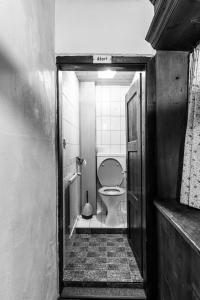 佩特诺伊阿尔贝格Gasthof zur Traube的一间小浴室,内设卫生间