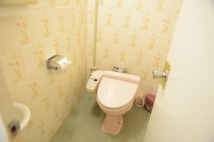 谏早市Hotel Flags Isahaya Nagasaki的一间带卫生间和水槽的小浴室