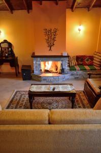 塔克西阿尔希斯Guesthouse Rodamos的带沙发和壁炉的客厅
