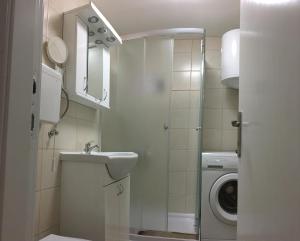 索科矿泉村Apartment Wali的一间带水槽和洗衣机的浴室