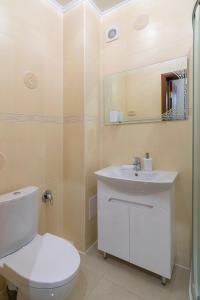 克里沃罗格Centralny Hotel的一间带卫生间、水槽和镜子的浴室
