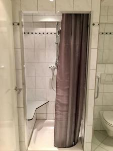 斯欣奥普赫尔Hotel Salden的带淋浴、水槽和卫生间的浴室