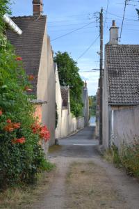 卢瓦尔河畔新堡Gîte du Port的村里一条有房子和鲜花的小巷