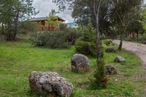 卡尼亚马雷斯El Llano de los Conejos Serranía de Cuenca的房屋前有岩石的田野