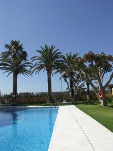 内尔哈卢阿尔托雷西利亚公寓的一座棕榈树环绕的游泳池