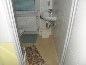 波恩A&S FerienwohnungenBonner str 49的一间带水槽和卫生间的小浴室
