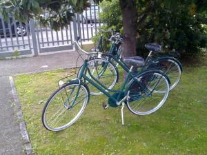 维罗纳维亚利威尼斯酒店的两辆自行车停在树旁的草上