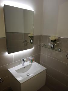 邓甘嫩科汉诺旅馆的浴室设有白色水槽和镜子