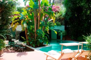 伊斯基亚维拉罗萨泰尔梅酒店的一个带椅子、棕榈树和桌子的游泳池