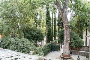 威尼斯Mansarda Magritte的花园,有树,有灌木和树木