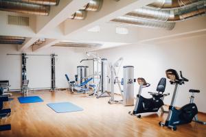 奥茨塞巴德·迪尔哈根蒂哈根奥斯特酒店的健身房设有跑步机和健身器材