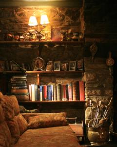 卡马森Fferm Y Felin的客厅配有沙发和书架