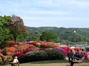 Okaya冈谷皇冠山酒店的一群人绕着鲜花花园散步