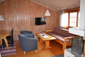 赖特维克First Camp Enåbadet - Rättvik的带沙发、桌子和电视的客厅