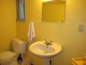 尼亚加拉瀑布旺德佛思宾馆和旅馆的一间带水槽、卫生间和镜子的浴室