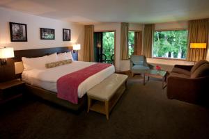奎诺尔特奎纳尔特湖山林小屋的配有一张床和一把椅子的酒店客房