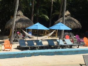 基拉戈航海家基拉戈海滩度假酒店的海滩上的一组椅子和遮阳伞