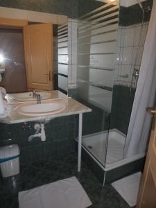 德布勒森普兰滕酒店的一间带水槽和淋浴的浴室