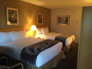 埃德蒙顿伊斯特格兰旅馆的酒店客房,设有两张床和一盏灯