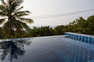 涛岛卡罗别墅的一座棕榈树环绕的游泳池