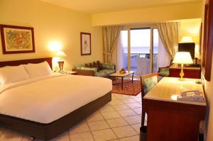 沙姆沙伊赫Safir Sharm Waterfalls Resort的酒店客房设有床和客厅。