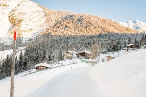 布肯Ropferhof的远处的雪覆盖的山中,有滑雪小屋