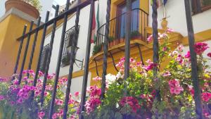 科尔多瓦橘橙之家酒店的建筑物前有花的围栏
