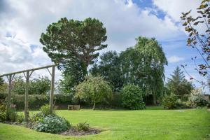 比迪福德The Linhay Eastleigh的草上种着树和长凳的花园