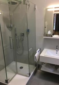 开姆尼茨拉本斯泰因城堡酒店的带淋浴和盥洗盆的浴室