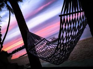 班拉克海滩桑姆伊海岸宾馆的海滩上棕榈树上的吊床