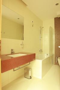 伊万尼奇格勒运动酒店的一间带水槽、浴缸和淋浴的浴室
