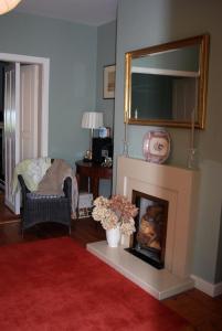 邓莱里蒙斯敦私人住宅民宿的客厅设有壁炉和镜子