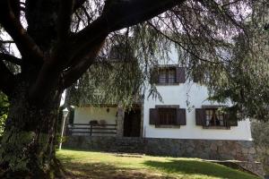 圣地亚哥－德孔波斯特拉Casa da Curuxeira的白色的房子,窗户和树