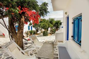 普拉迪斯亚罗斯Acrogiali Beachfront Hotel Mykonos的庭院里一群椅子和一棵树