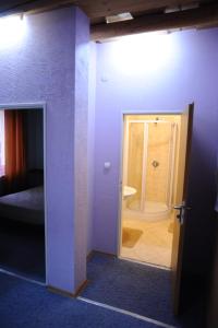 维什卡Perlyna Krasiyi的一间设有通往浴室的门的房间